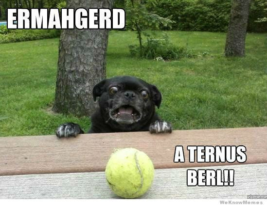 ermahgerd ternus berl